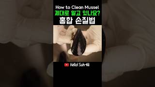 아는 사람만 아는 홍합 손질법 확실하게 알려드릴게요 How to Clean Mussel