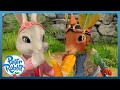​@OfficialPeterRabbit - 🐿️ SQUIRREL Nutkin's Becomes a RABBIT?🐰| ANIMAL TAKEOVER | Cartoons for Kids