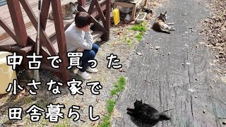 小さな家をDIYして楽しむ/犬と猫と田舎暮らし