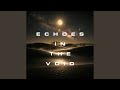Echoes in the Void
