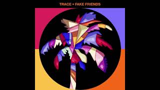 Trace - Fake Friends (Extended)