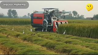 Kubota AR90 combine Harvester fieldrking| made in Japanese mini Kubotahrvester limport from Japan ki