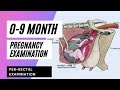 Pregnancy Diagnosis in Bovine | Determination of Pregnancy | Per-rectal examination(0-9 month preg.)