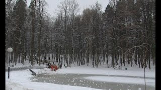 КРТВ. Работы по благоустройству городского парка идут по плану