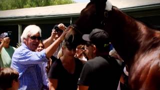 A Champion Makes His Return in the Haskell