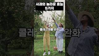 사과를 매일 먹으면 일어나는 일