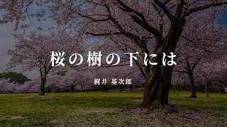 桜の樹の下には - 梶井 基次郎【朗読/オーディオブック】字幕付き