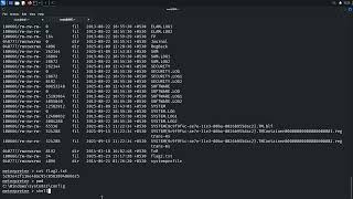 Host & Network Penetration Testing The Metasploit Framework CTF 1