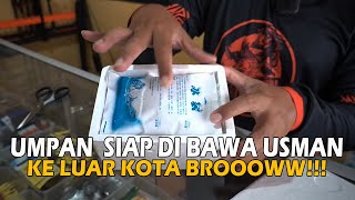 KALO UMPAN UDAH GINI MAH SIAP USMAAN LUAR KOTA POKOKNYA BROOOOWW ❗❗ PEDE DI MAKAN SAMA INDUKAN BROOW