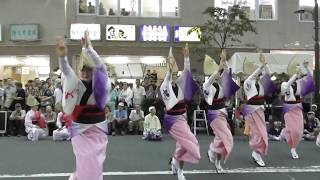 しのぶ連☆西東京サマーフェスティバル in 田無駅北口大通り