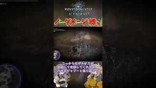 【MHWI】モンハンワールドアイスボーンノーダメージ縛り!!  『ディノバルド亜種編』#19