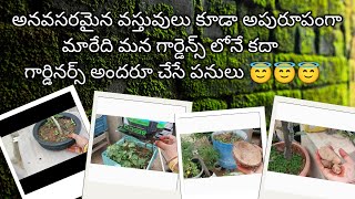 పగిలిన కుండ ,విరిగిన బండ ,అట్టముక్క ,చెక్క పెట్టె,  అన్నీ మన గార్డెన్ కి పనికొచ్చేవే కదా#gardening