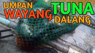 UMPAN WAYANG TUNA | DALANG MANTAB