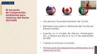 Décima sesión del Seminario T-MEC · TIPAT #SeminarioEconomíaMX