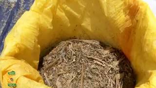 সাইলেজ পদ্ধতি- কৃষি ব্যবসায়ের নতুন ধারণা (Silage: A new concept of Agribusiness)