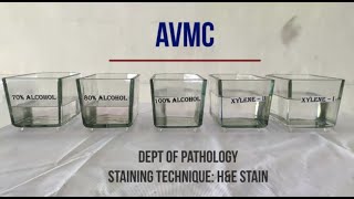 Hematoxylin & Eosin Staining Procedure, Principle with Video Lecture
