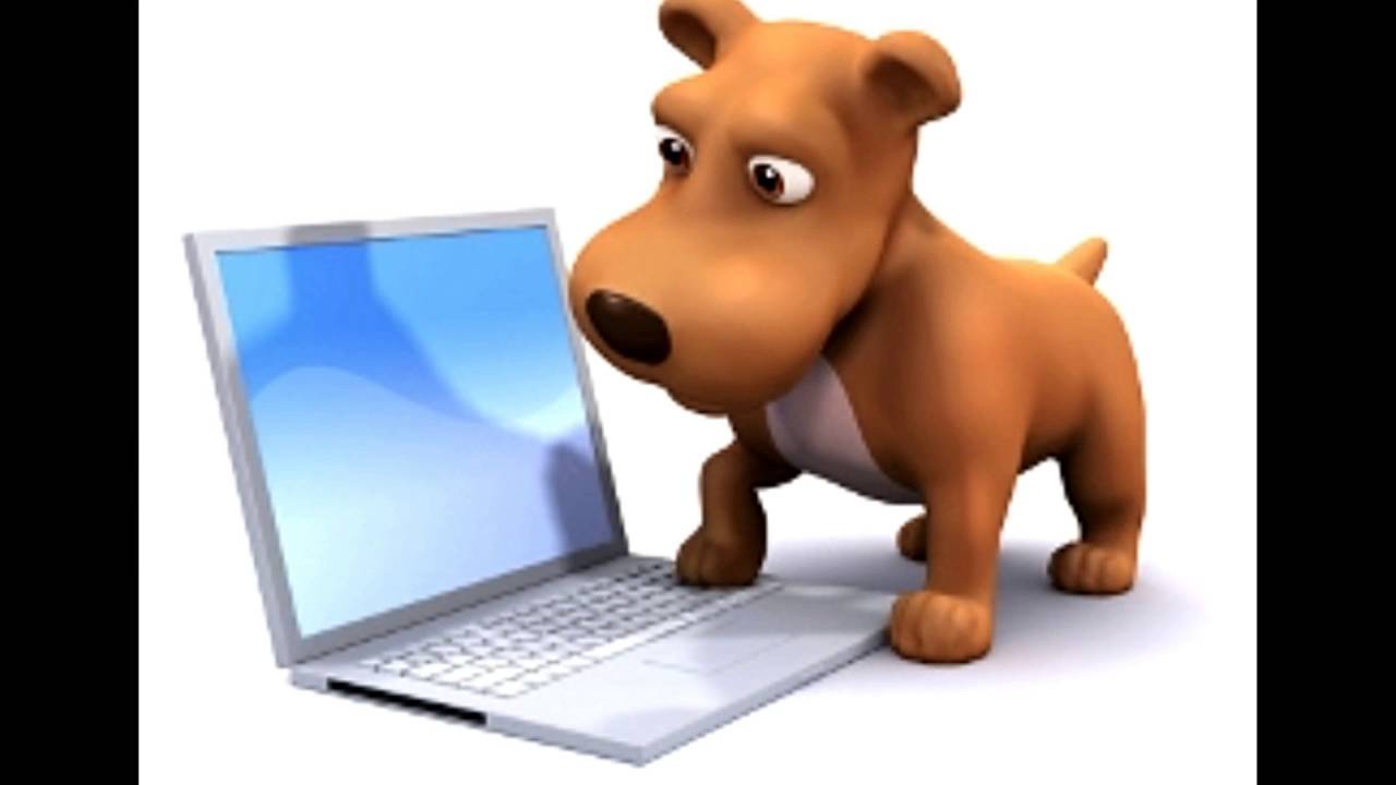 Information About Virtual Desktop Pets Youtube