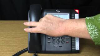 ESI 45 Business Phone: Mute