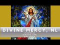 Divine Mercy NL Sunday Mass: July 14, 2024 The 15th Sunday in Ordinary Time