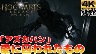 【ホグワーツ・レガシー】愛に囚われたもの「アズカバン行きたい」#ハッフルパフ専用クエスト NoDamege 5.1chサラウンド Hogwarts Legacy高画質レイトレーシング