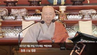 조계사 미타재일·백중회향 원명스님 법문(2015.8.28)