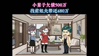 小舅子欠债500万，找前姐夫还480万#原创动画 #情感故事