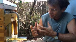 What Bee Keepers Are Saying About Flow™ Hives