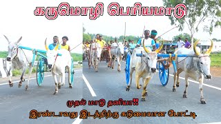 பெரியமாடு-கருமொழி-பந்தயம்_18.05.2023_V_Photography