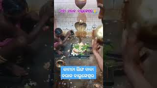 @ଜୟ ବାବା ବରାଳ ବାଲୁଙ୍କେଶ୍ୱର🙏🙏🙏####viral###