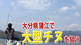 大分県蒲江で大型チヌを狙いにイカダ釣りに行ってみました