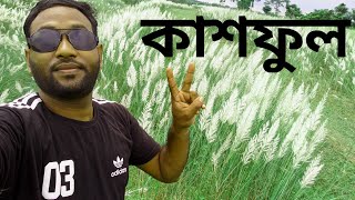 কাশফুল Kashful অপরুপ সুন্দর প্রকৃতি।