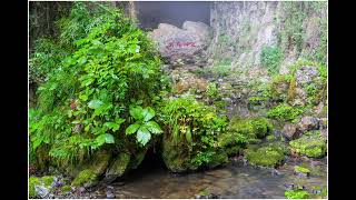 吊滩河景区～四川广元曾家山