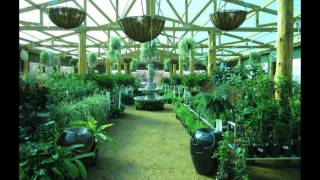 Wine, Dine, and Design  - Land Art Garden Center