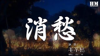 毛不易 - 消愁『你拿起酒杯對自己說』【動態歌詞Lyrics】