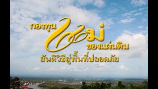 กองทุนแม่ของแผ่นดิน สันติวิธีสู่พื้นที่ปลอดภัย