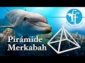 Purificación  con   la  Vibración Merkabah (Alta resolución)