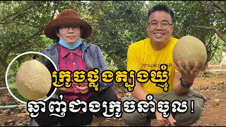 ក្រូចខ្មែរមួយនេះឆ្ងាញ់ណាស់ ចង់ដាំ១ដើមតម្លៃ 5$ 077 555 330