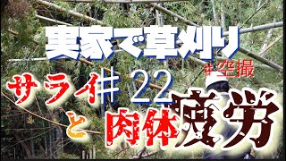 【実家で草刈り】倒木周りの竹の伐採作業で、尿酸と乳酸が蓄積し疲労MAXに、帰宅しようと思いつつも、最後までやりきった。という中年男性のとある日曜日　＃22