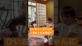 奨成はひいおじいちゃんに人見知りします😂#shortsvideo #shorts #子供 #育児 #かくれんぼ #人見知り #可愛い #cute #children #男の子 #しょうせいとパパ