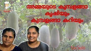 നല്ല നാടൻ കുമ്പളങ്ങ കറി | Kerala Style Ash Gourd Recipe | Healthy Recipe|eps:,199