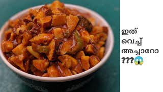 ഇങ്ങനൊരു അച്ചാർ നിങൾ കഴിച്ചിട്ടുണ്ടോ | Variety Pickle | Malayalam | B CaZa