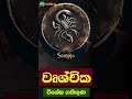 වෘශ්චික ලග්නයේ අයගේ හැටි this examines the qualities and traits that describe you scorpio