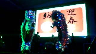 鴻德醒獅傳藝坊-LED電光獅表演