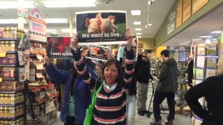 Protesters demonstrate against treatment of animals inside Hadley Whole Foods store