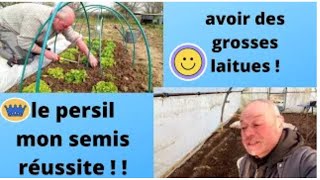 Comment protéger vos salades contre les limaces  ( a la cendre de bois ) redif   travaux  maman