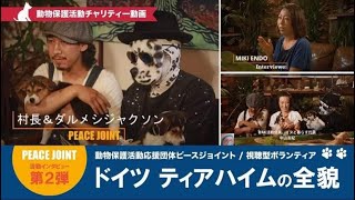 【チャリティー動画】PEACEJOINT活動インタビュー第２弾！ドイツ・ティアハイム