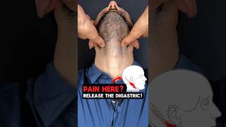Pain Here Release The Digastric