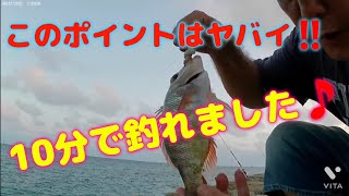 ★②　沖縄県。夜釣りに行ったら昼間から釣れた凄いポイントです☝️