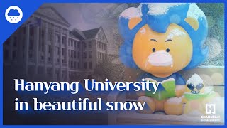 캠퍼스에 눈이 내린다면｜Hanyang University in beautiful snow