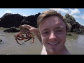 Extreme low tide foraging with Craig Evans